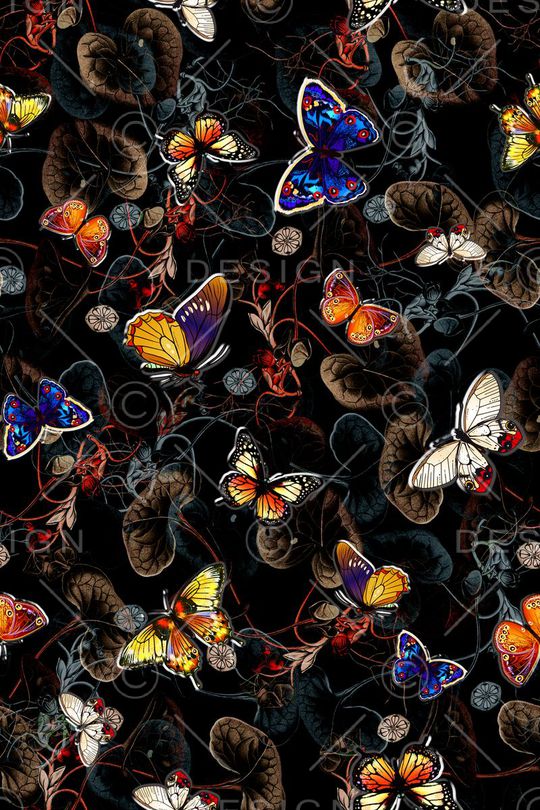 蝴蝶印花华亿平台图片