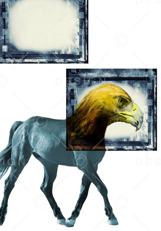 数码印花、即可上机印花华亿平台图片