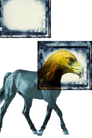 数码印花、即可上机印花华亿平台图片