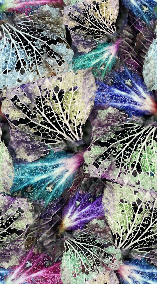 趣味印花华亿平台图片