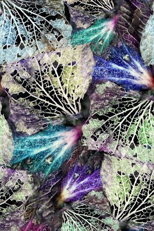 趣味印花华亿平台图片