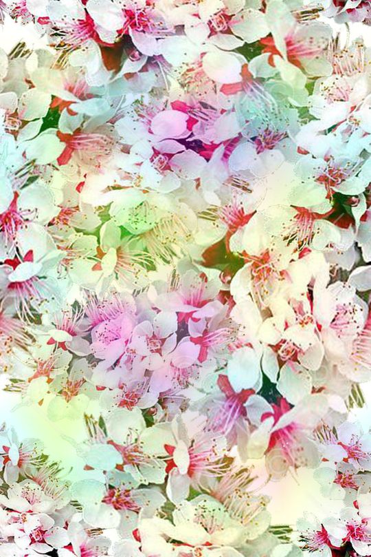 零点--女装印花华亿平台图片