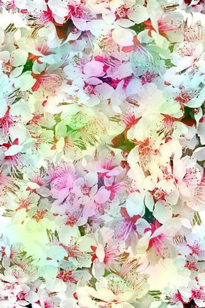 零点--女装印花华亿平台图片