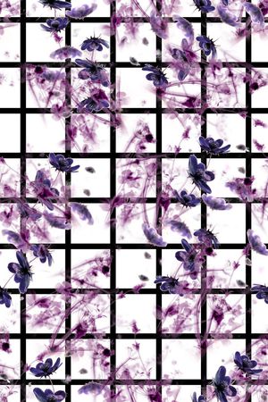 透明印花华亿平台图片