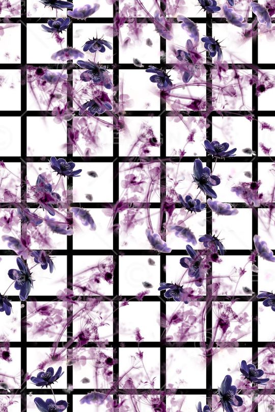 透明印花华亿平台图片