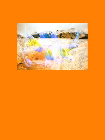 603850-定位冰火北极熊4