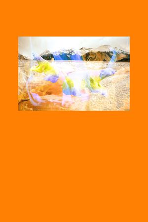 定位印花华亿平台图片