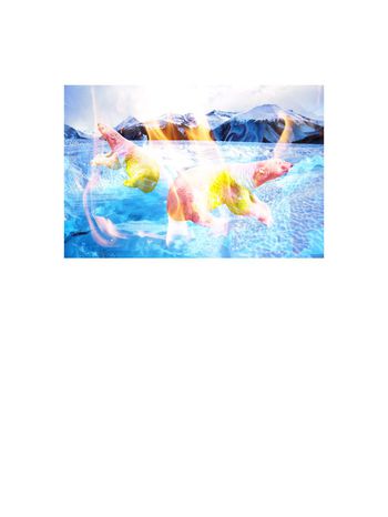 603851-定位冰火北极熊