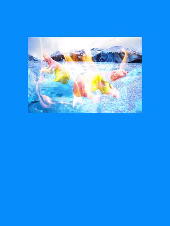 603853-定位冰火北极熊2