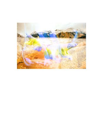 603854-定位冰火北极熊3