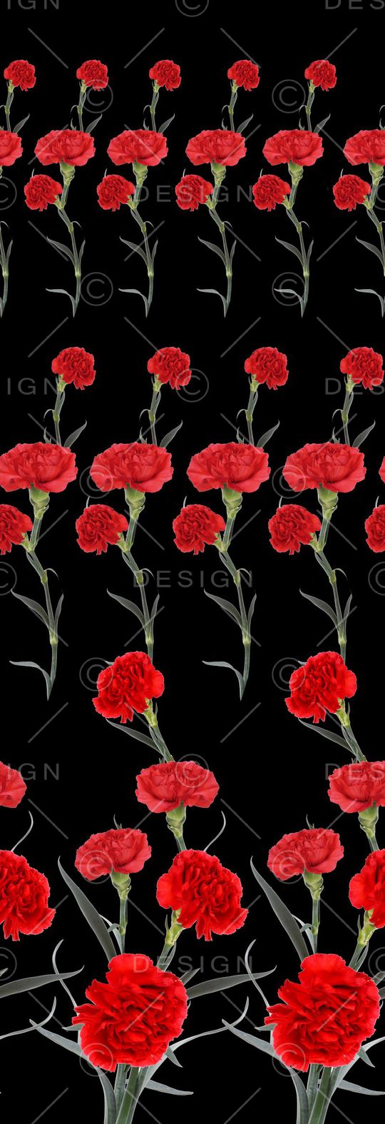 康乃馨印花华亿平台图片