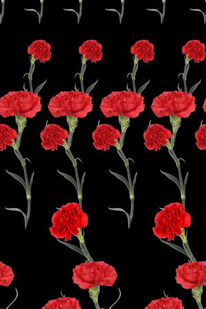 康乃馨印花华亿平台图片