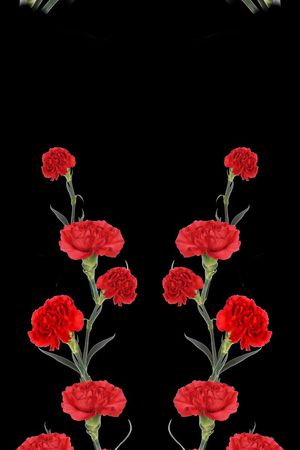 围巾华亿平台印花华亿平台图片