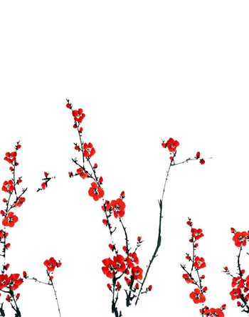 时尚印花华亿平台图片