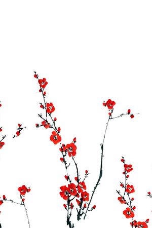 时尚印花华亿平台图片