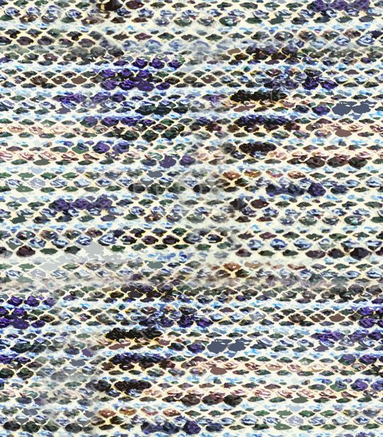 动物纹印花华亿平台图片