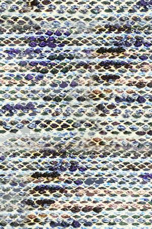 动物纹印花华亿平台图片