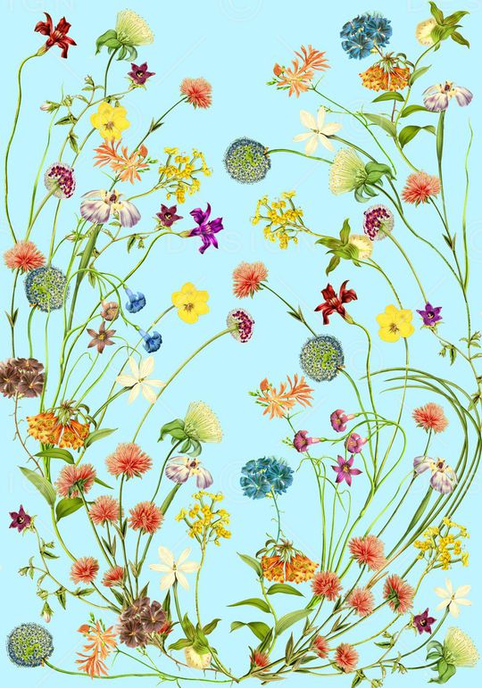 古驰印花华亿平台图片