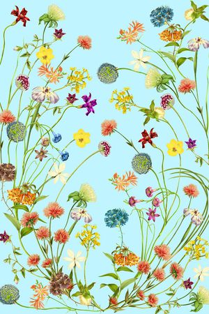 古驰印花华亿平台图片