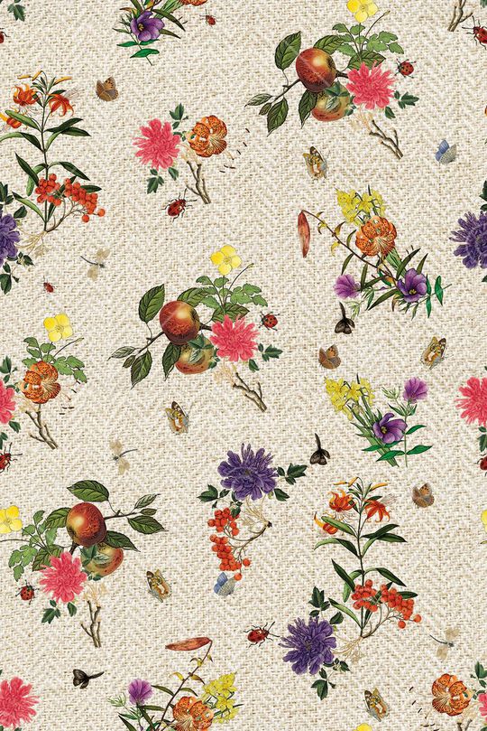 花卉写真印花华亿平台图片