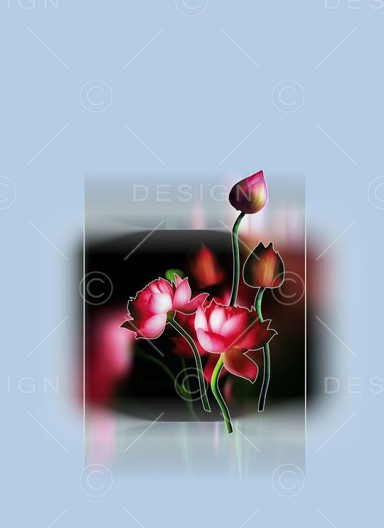 定位女装印花华亿平台图片