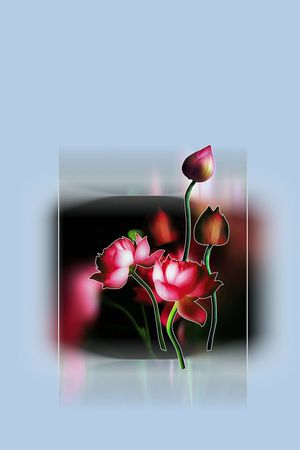 定位女装印花华亿平台图片