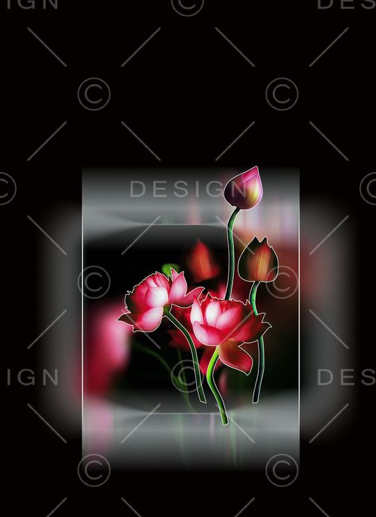 定位女装印花华亿平台图片