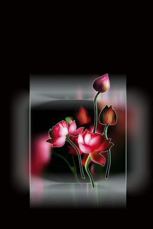 定位女装印花华亿平台图片