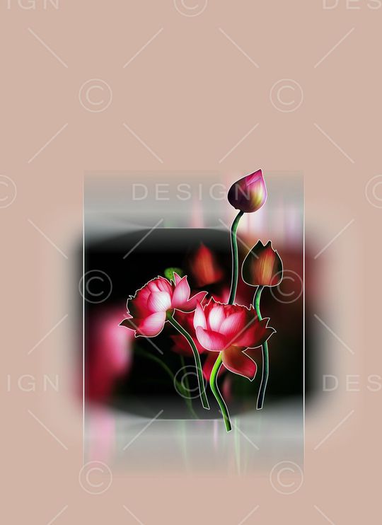 定位女装印花华亿平台图片