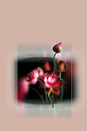 定位女装印花华亿平台图片