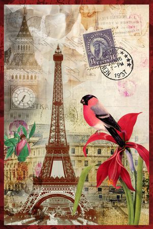 鸟印花华亿平台图片