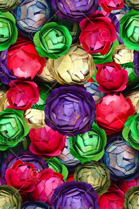 玫瑰印花华亿平台图片