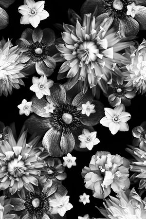 黑白印花华亿平台图片