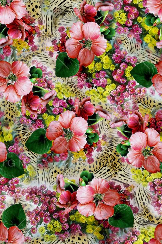 豹纹印花华亿平台图片