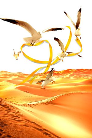 沙漠印花华亿平台图片