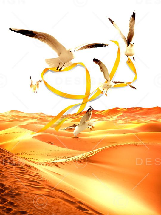 沙漠印花华亿平台图片