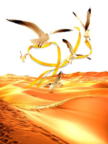 604434-沙漠飞鸽