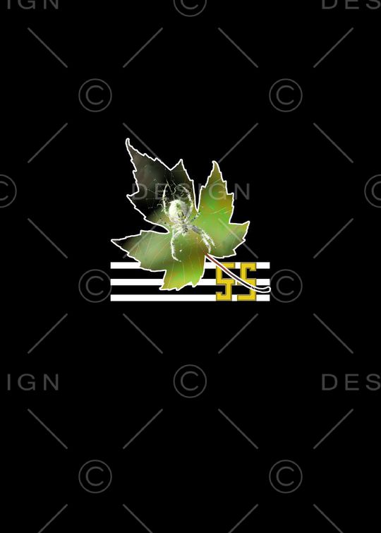 原创印花华亿平台图片