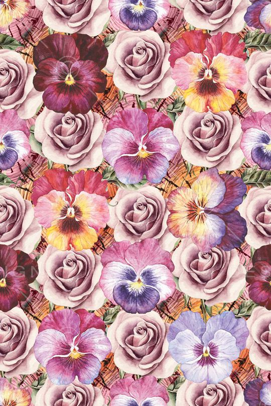 牵牛花印花华亿平台图片