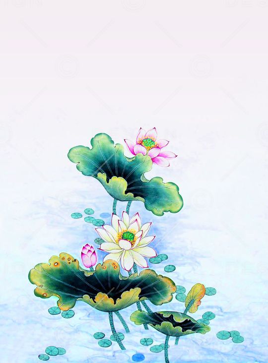 荷花印花华亿平台图片