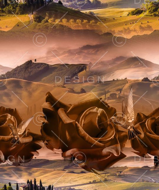 MAX-抽象自然风景印花华亿平台图片