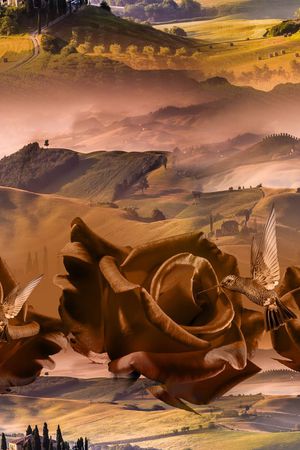 MAX-抽象自然风景印花华亿平台图片