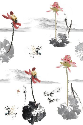 荷花印花华亿平台图片