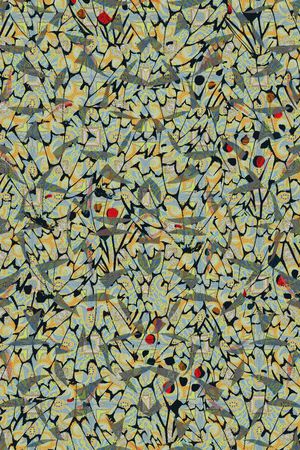 零点--泳装印花华亿平台图片