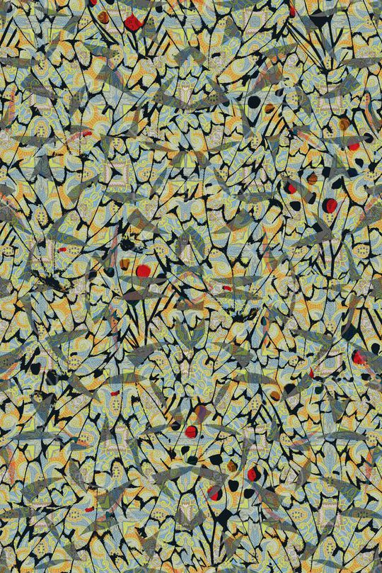 零点--泳装印花华亿平台图片