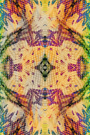 零点--泳装印花华亿平台图片