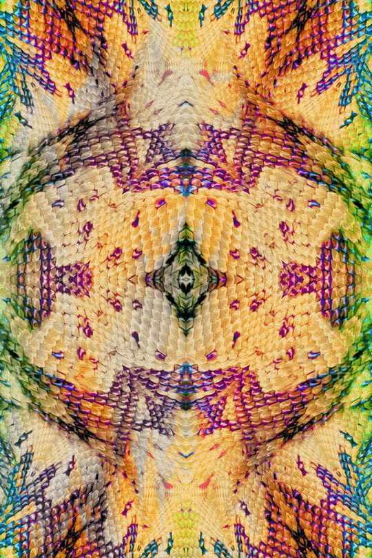 零点--泳装印花华亿平台图片