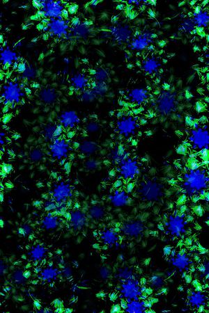 零点--女装印花华亿平台图片