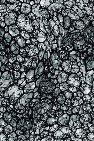 细胞壁印花华亿平台图片