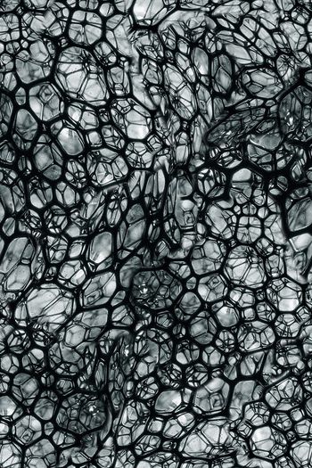 细胞壁印花华亿平台图片